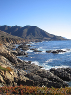 real estate, real estate broker, CAR, MCAR, monterey bay real estate, photography, web design, art, buy a home, sell a home